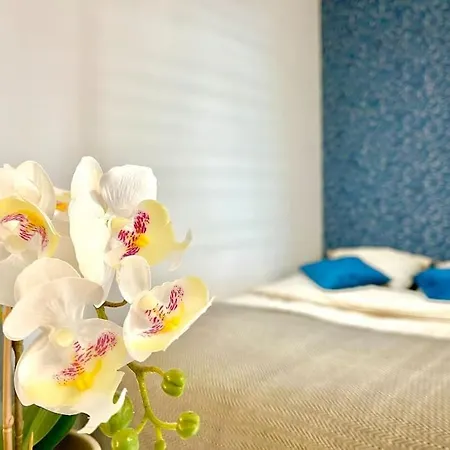 Apartment Splendide Cocon Sauna & Balneo Reims